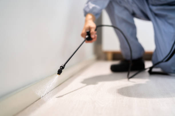 Licensed Pest Control service in Old Forge, PA - Show Me Pest Control