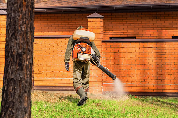 Bed Bug Clearance Verification and Documentation in Old Forge